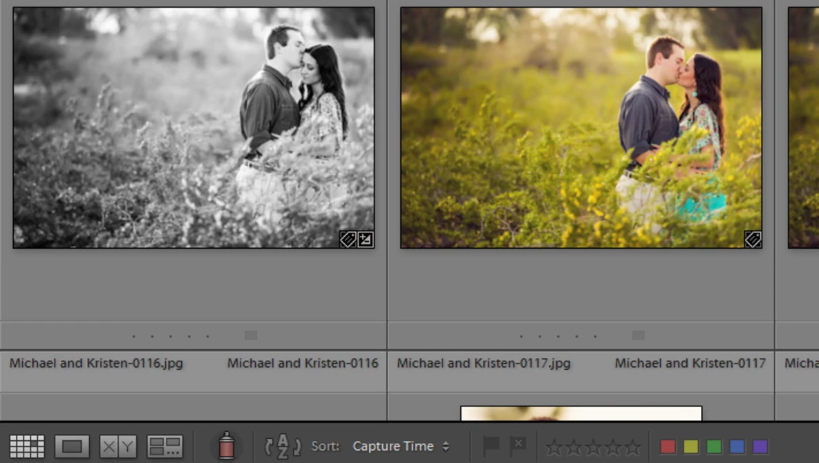 Watch How to Use the Painter Tool in Lightroom on YouTube.