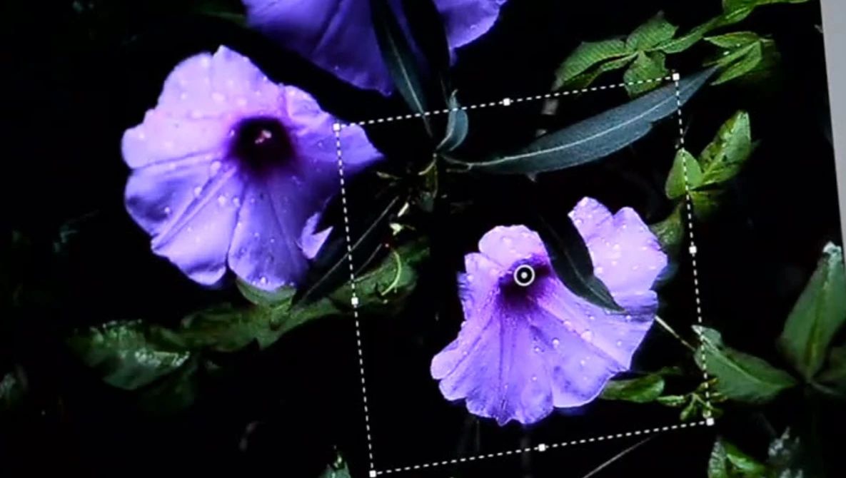 Watch Photoshop Sneak Peek: See What's to Come | Adobe Photoshop on YouTube.
