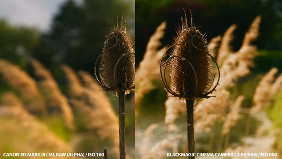 Watch Canon 5D mark III RAW vs. Blackmagic Cinema Camera RAW on Vimeo.