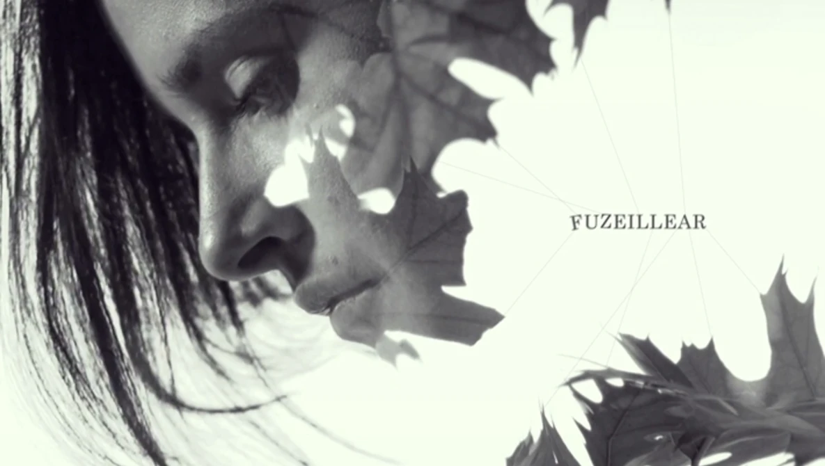 Watch ADBNE 2013 – Opening Titles on Vimeo.