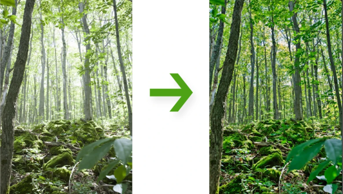 Watch How to Rescue Highlights Using Luminance Masking on Vimeo.