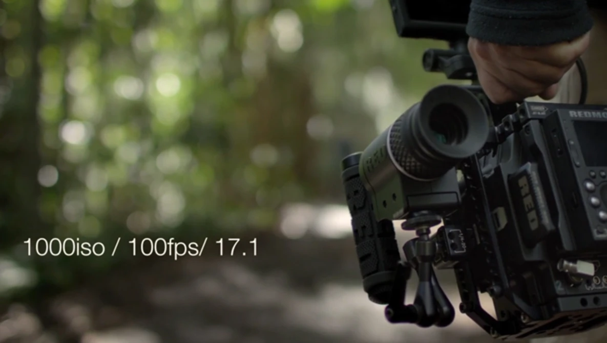 Watch RED EPIC DRAGON - IT'S THE REAL DEAL ! on Vimeo.