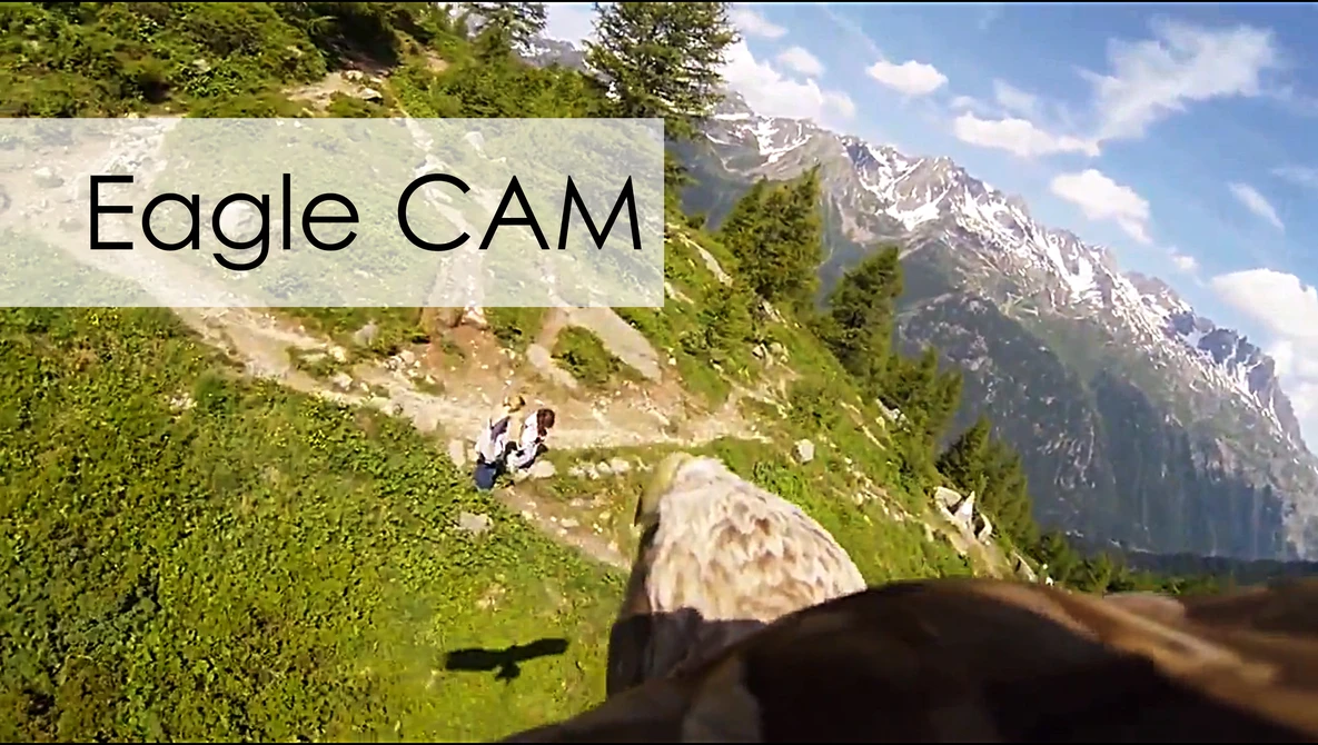Watch Flying eagle point of view #1 on YouTube.