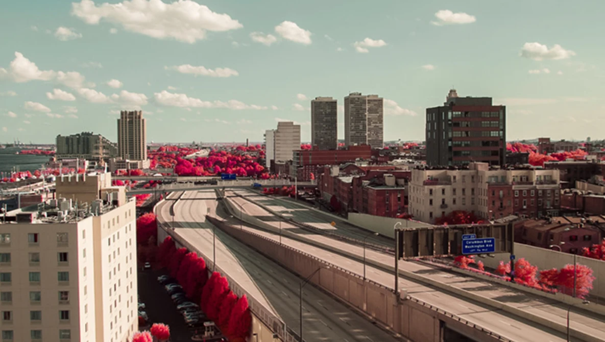 Watch The Day Wonderland Stood Still... on Vimeo.