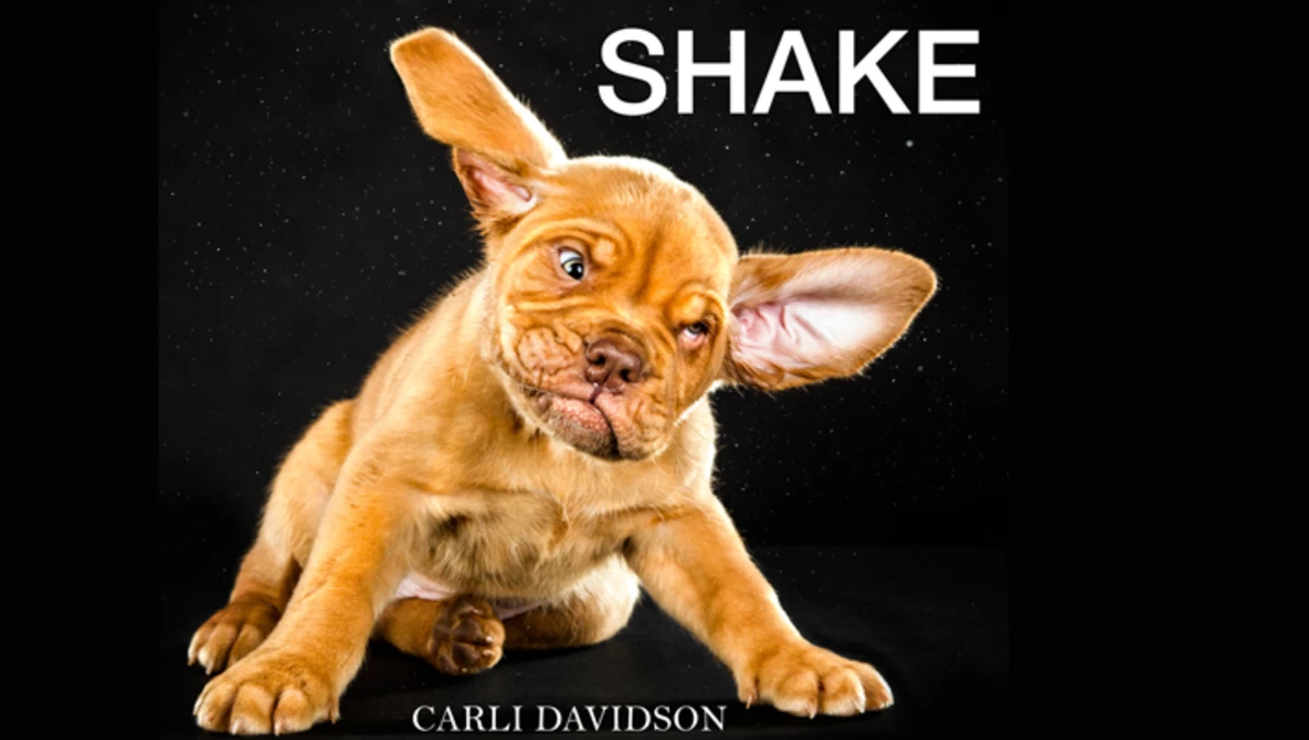 Watch SHAKE on Vimeo.