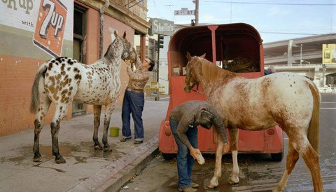 This Is What San Francisco Looked Like Before The Internet Changed Everything