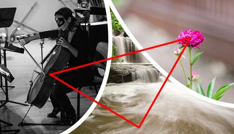 The Exposure Triangle: Understanding How Aperture, Shutter Speed, and ISO Work Together