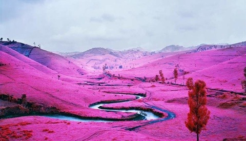 Magnum Photos' Record-Breaking New Intake Signals Big Change Ahead