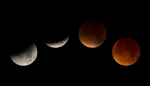 Did You Photograph the Rare Supermoon Lunar Eclipse? Here Are Some of the Best Shots from Social Media