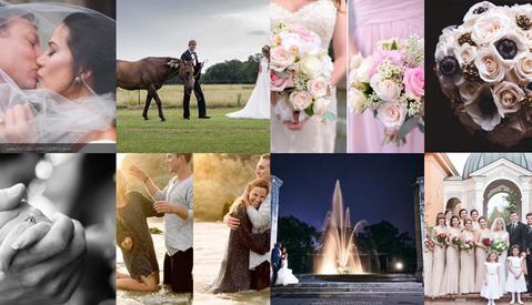 Check Out Your Best Nine Instagram Posts of 2015