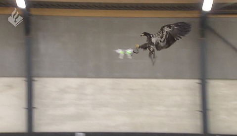 Agricultural Drones Will Be a $2.9 Billion Industry by 2021 | Fstoppers