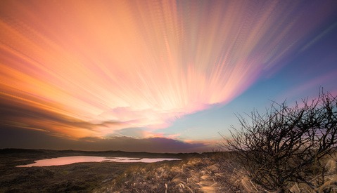 The Real Versus the Beautiful (Part 1): The Desert of the Real