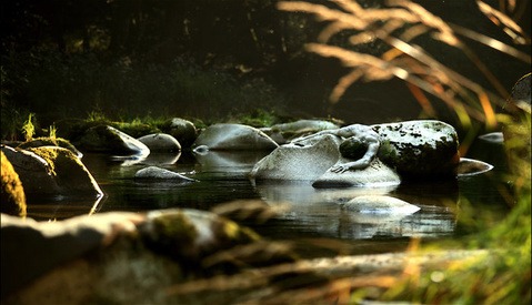 'Metamorphosis' Photo Project Challenges Artists 