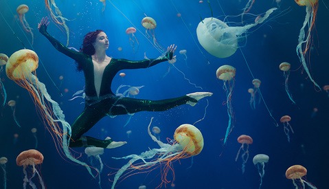 Jellyfish Soup: Combining Photography and Conservation