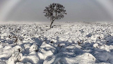 Photographer Captures Rare 'Fog Bow' Over the Snow-covered Scottish Moors