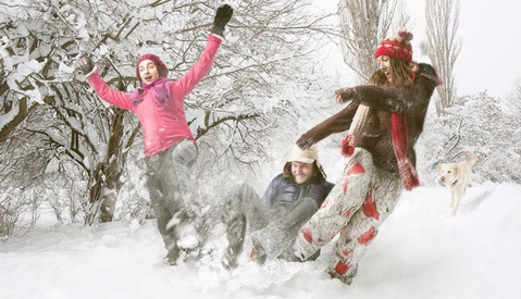 Tips for Photographing In Snow