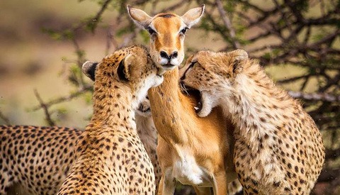 The Truth About This Viral Photo Revealed – By The Photographer Who Took It