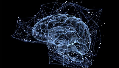 Mindset: Can Skill Alone Bring Success?