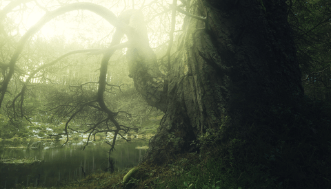 A Week in the Wild - Part 2: Landscape Photography in the Cairngorms National Park