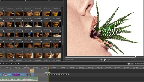 All-In-One Screen Recording and Video Editing for Windows: Fstoppers Reviews ACDSee Video Studio 2