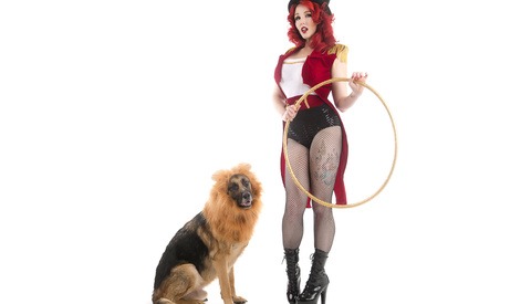 Puppy Pinups: Merging Two Creative Passions