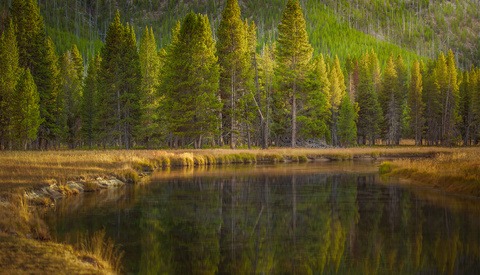 How a National Park Changed the Way I Shoot: Lessons From Yellowstone (Part 2)