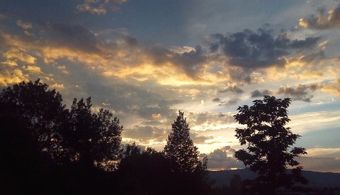 New Appreciation for Camera Phone Photography