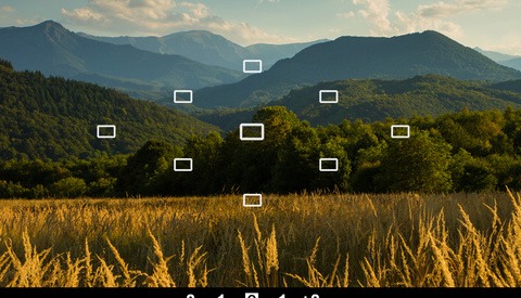 Understanding Your Camera's Internal Light Meter and Metering Modes