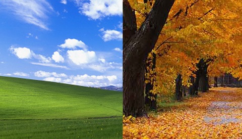 $100,000 Vs. $45: The Differences Paid to the Photographers Behind These Microsoft Windows Images