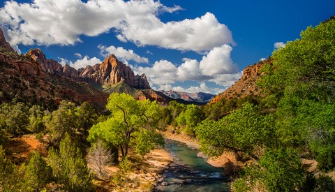 No Tripods Allowed: Zion National Park’s New Rules for Photography Workshops