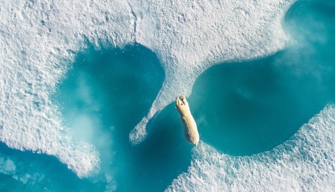 DJI Announces 2017’s Top Aerial Photos