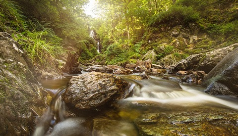 How to Shoot Long Exposures in a Stream with No Tripod