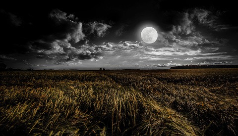 Even Peter Lik Says His Art Is Not Worth the Money