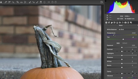 Capture One Vs. Lightroom: Ted Forbes Talks Raw