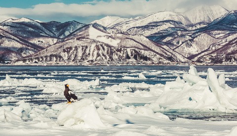 A Photographic Guide to Hokkaido in Winter