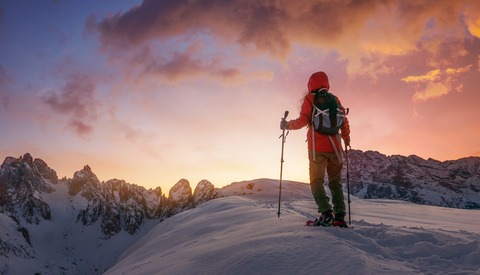 Transform Your Existing Images With the Help of Adobe Stock