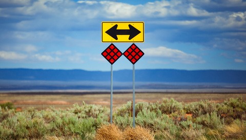 Where Is Your Photography Career Headed?
