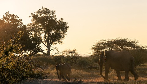 Planning for a Wildlife Photography Trip as a Landscape Photographer