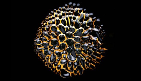Photographer Uses Fluid and Sounds to Create Surreal Photos That Look Like CGI