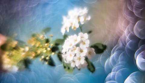 See the ‘Magic Bokeh’ Results of Reversing an Element Inside a Vintage Lens