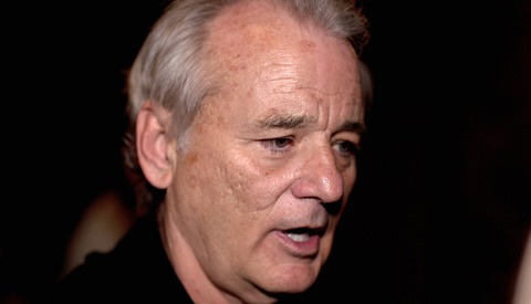 Bill Murray Accosted Photographer on Martha's Vineyard