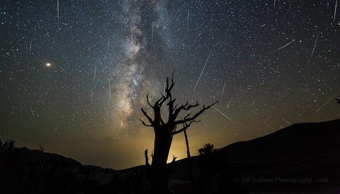 A Baker's Dozen of Impressive Perseid Meteor Shower Captures