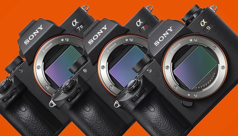 Breaking: Sony Is Now Number One Overall in U.S. Full-Frame Camera Market, Celebrates With New 'Alpha Female' Program