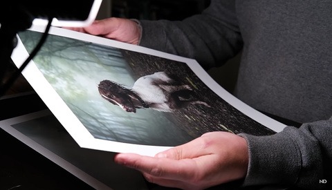 A Straightforward Guide to Color Management for Creating Better Photo Prints