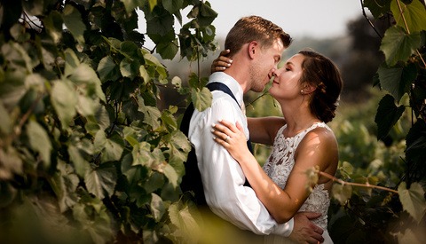 What’s Behind the Recent Lull in Photography Bookings?