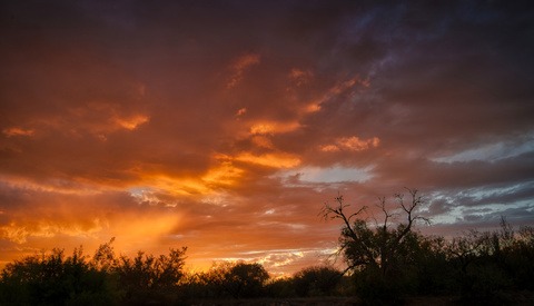 Outdoor Photography Apps I Won't Leave Home Without