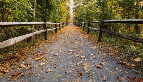 Direct Your Audience Through Your Photos With the Help of Leading Lines