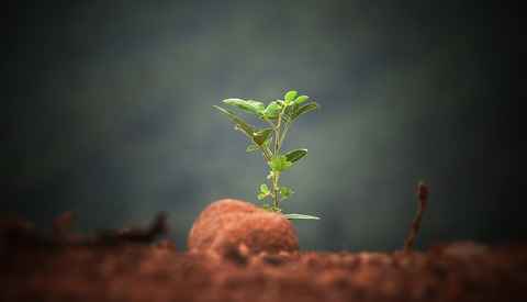 The Key to Personal Growth as a Photographer