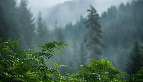 How to Add a 3D Feel to Your Landscape Photos