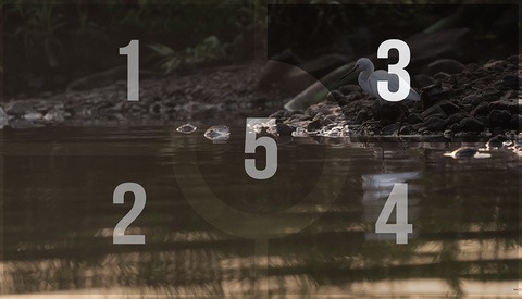 Understanding Light: How the Different Metering Modes of Your Camera Work